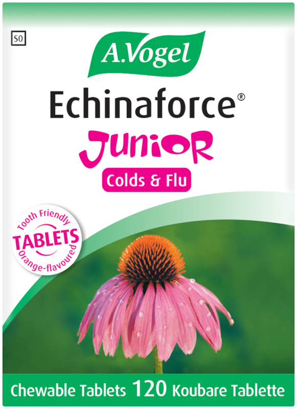 A VOGEL ECHINAFORCE JNR TAB120